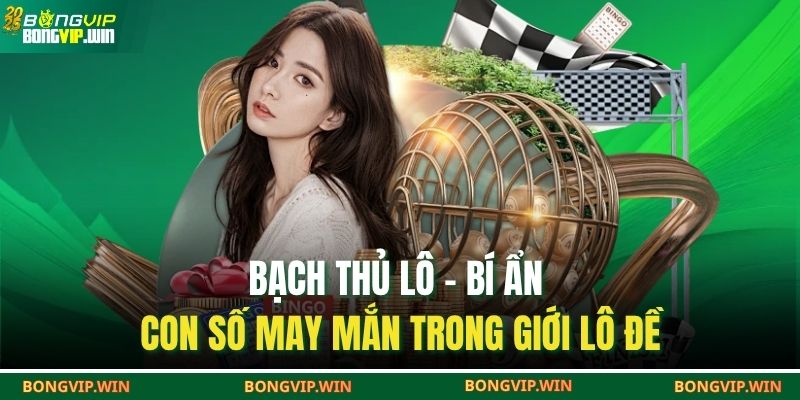Bạch thủ lô