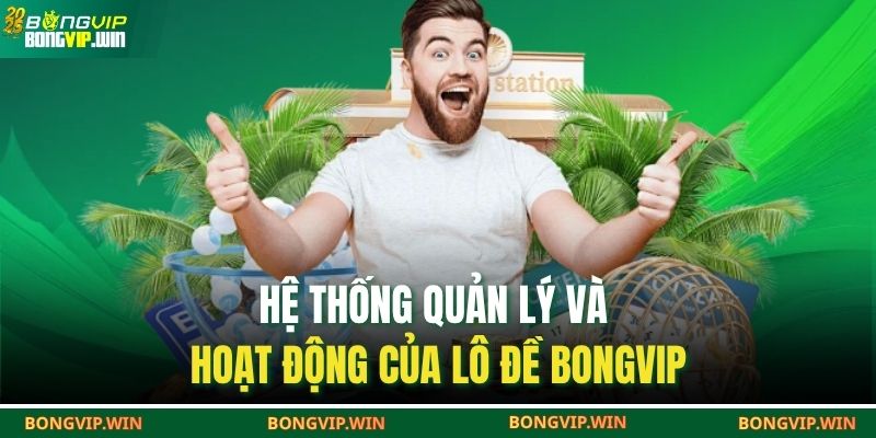 Hệ thống quản lý và hoạt động của lô đề BONGVIP
