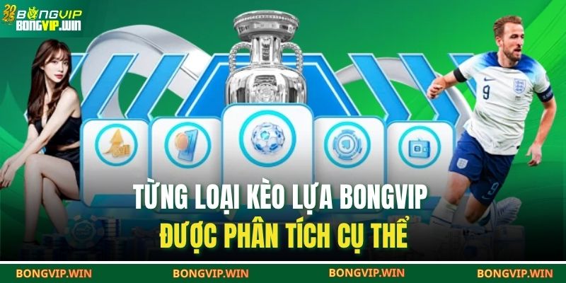 Từng loại kèo lựa BONGVIP được phân tích cụ thể
