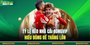 Tỷ lệ kèo nhà cái BONGVIP